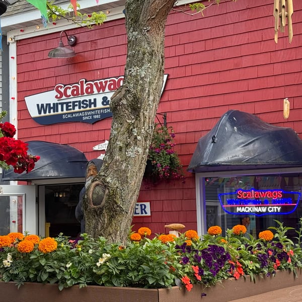 Scalawags Whitefish & Chips restaurant exterior with red siding, a tree, and flower boxes.