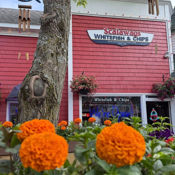 Scalawags Whitefish & Chips restaurant with a red exterior, white trim, and orange flowers in the foreground.